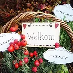 Bed and Breakfast Al Chiare 4*