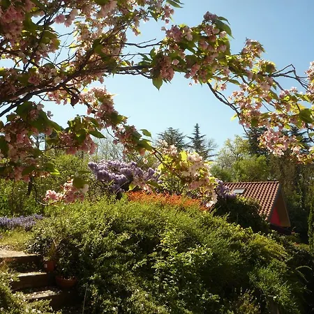 Bed and Breakfast Al Chiare Oggiono