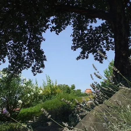 Frühstückspension Al Chiare