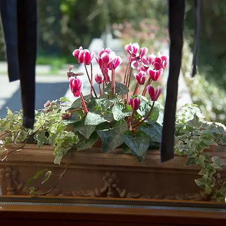 Al Chiare Bed & Breakfast 4*