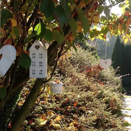 Bed & Breakfast Al Chiare 4*